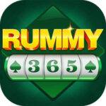 RUMMY 365