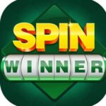 spin wenner