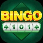 BINGO 101